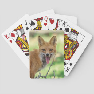 Mama Fox in de Hudson-vallei Pokerkaarten