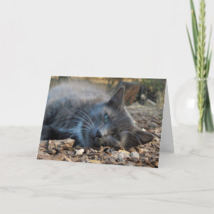 Mama is een geliefde Schattige Cat Moederdag Kaart