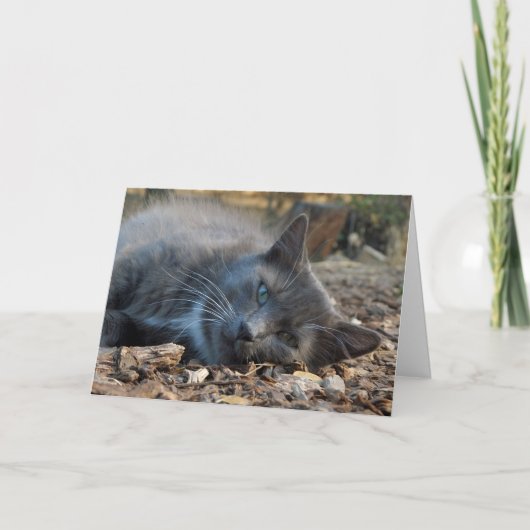 Mama is een geliefde Schattige Cat Moederdag Kaart (Voorkant)