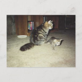 Mama kat met kitten briefkaart