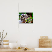 Mama Koala en Baby Joey in een boom Poster (Keuken)