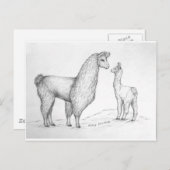 Mama Llama en Cria Briefkaart (Voorkant / Achterkant)