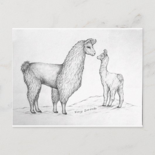 Mama Llama en Cria Briefkaart (Voorkant)