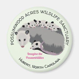 Mama Opossum magneet