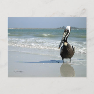 Mama Pelican Briefkaart