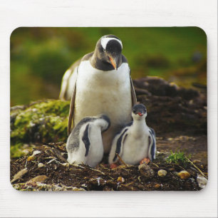 Mama Penguin en baby's Muismat