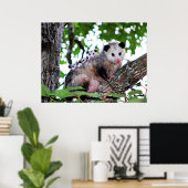 Mama Possum en Babies Poster (Thuiskantoor)