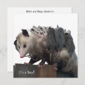 Mama Possum Faire-part photo de naissance humorist (Devant / Derrière)