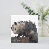 Mama Possum Faire-part photo de naissance humorist (Debout devant)