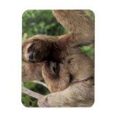 Mama Sloth Et Baby Magnet (Vertical)