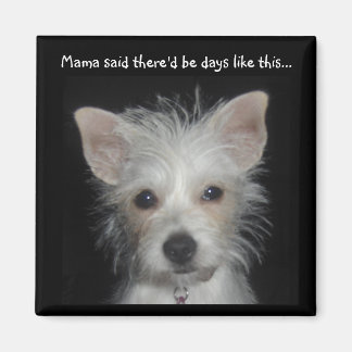 Mama zei dat er dagen zouden zijn zoals deze honde magneet