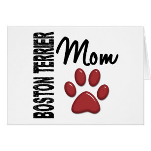 Maman 2 de Boston Terrier