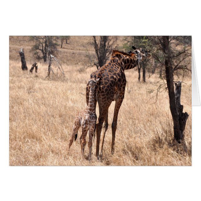 Maman et moi (Devant horizontal)