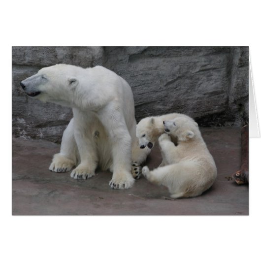 Maman et petits ours d'ours polaires (Devant Horizontal)