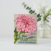 Maman Fleur Chrysanthemum Carte postale Vintage (Debout devant)