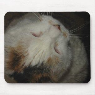 Maman, je dors !! tapis de souris de chat