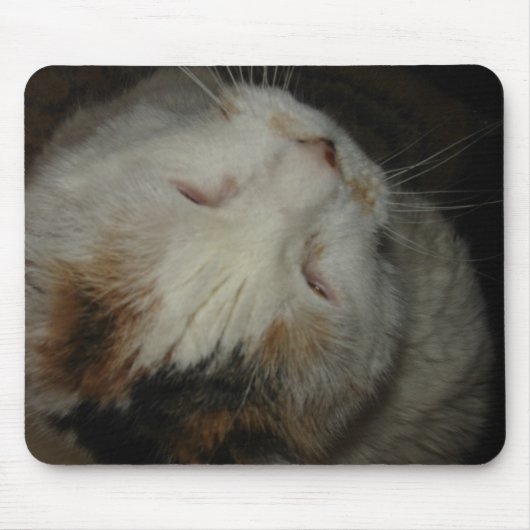 Maman, je dors !! tapis de souris de chat (Devant)