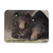 Maman & petits 2013 Premium Flexi Magnet (Horizontal)