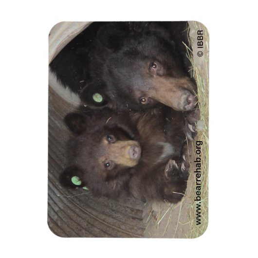 Maman & petits 2013 Premium Flexi Magnet (Vertical)