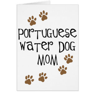 Maman portugaise de chien d'eau