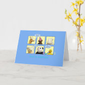 Maman-to-be Baby Boy Animals dans la carte Windows (Fleur jaune)