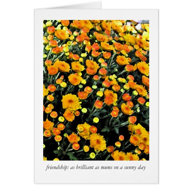 Mamans (no. 0732) (Devant)