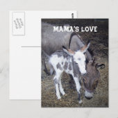 Mama's Love Post Card Briefkaart (Voorkant / Achterkant)