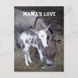 Mama's Love Post Card Briefkaart