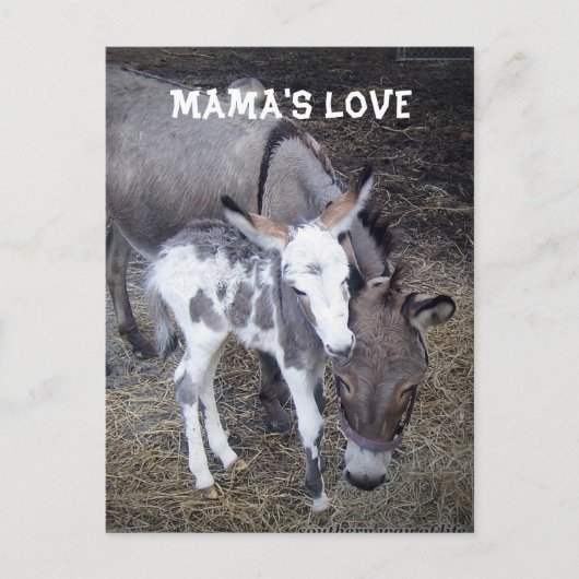 Mama's Love Post Card Briefkaart (Voorkant)
