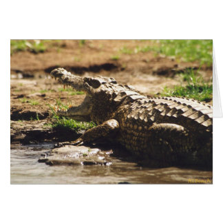 Mamba (crocodile)