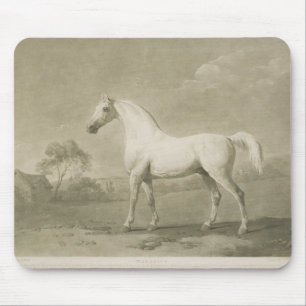 Mambrino, na George Stubbs, 1788 (mezzotint) Muismat