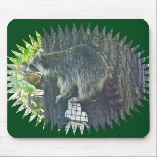 Mammie Raccoon op Suet Mousepad Muismat
