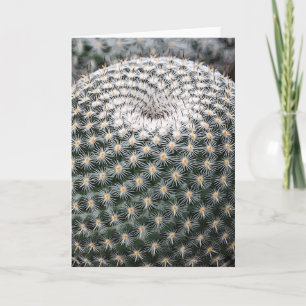 Mammillaria elegans notecard kaart