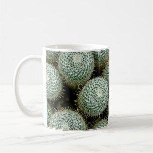 Mammillaria hahniana koffiemok