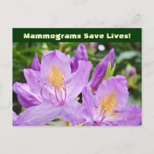 Mammogrammen redden levens! ansichtkaarten Bloemen Briefkaart
