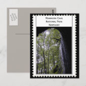 Mammoth Cave Kentucky Briefkaart (Voorkant / Achterkant)