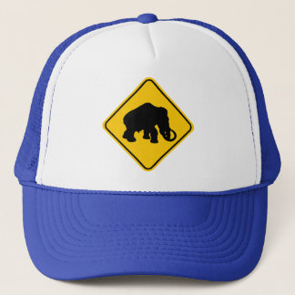 Mammoth Crossing Trucker Pet