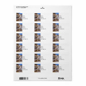 Mammoth Hot Springs Étiquette de adresse (Feuille entière)