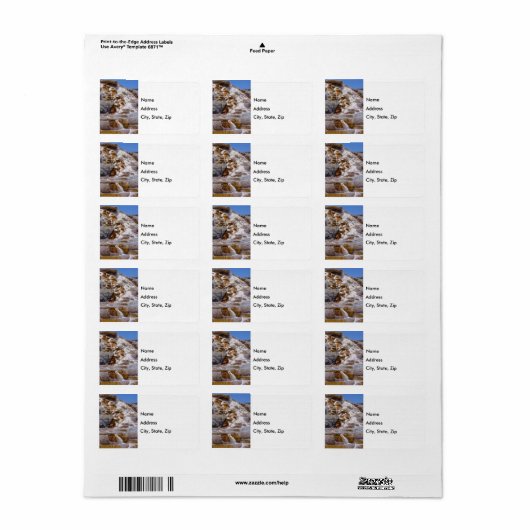 Mammoth Hot Springs Étiquette de adresse (Feuille entière)