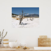 Mammoth Hot Springs Main Terrace Poster (Keuken)