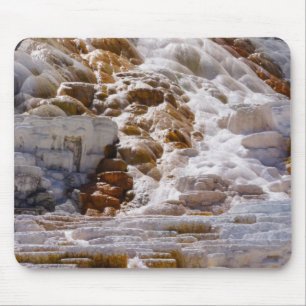 Mammoth Hot Springs Muismat