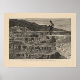 Mammoth Hot Springs-uitzicht Poster