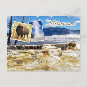 Mammoth Hot Springs, Yellowstone National Park Briefkaart