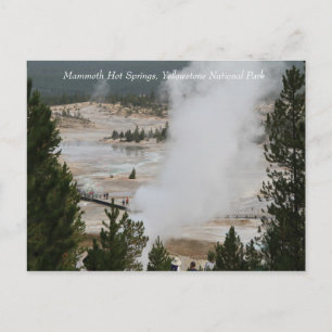 Mammoth Hot Springs, Yellowstone National Park Briefkaart