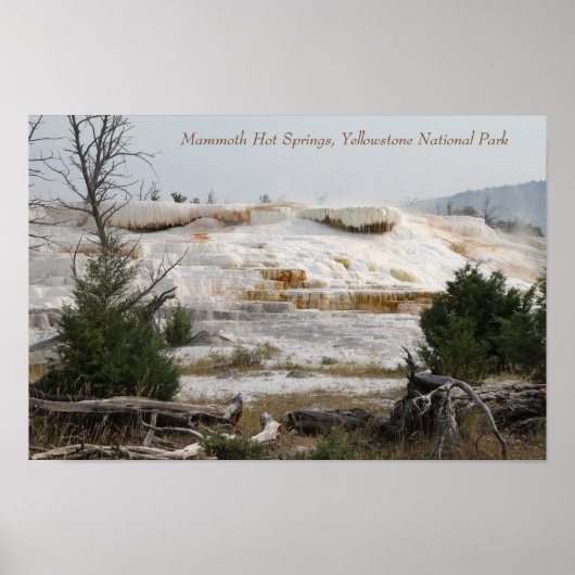 Mammoth Hot Springs, Yellowstone National Park Poster (Voorkant)