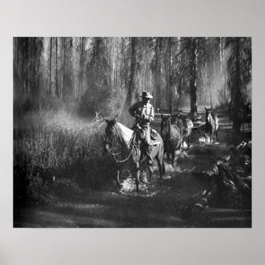 Mammoth Mules Poster (Voorkant)