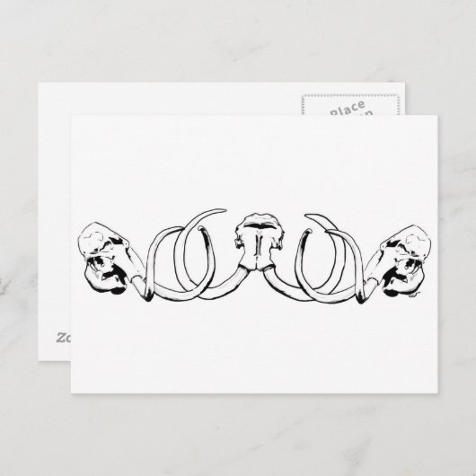 Mammoth Skull Briefkaart (Voorkant / Achterkant)