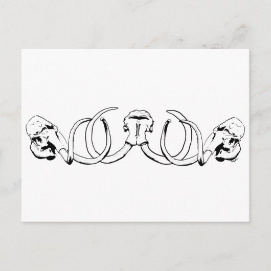 Mammoth Skull Briefkaart (Voorkant)