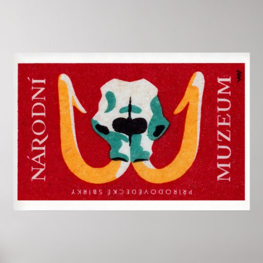Mammoth Skull - Matchbox Print - Czech Wall Art (Voorkant)