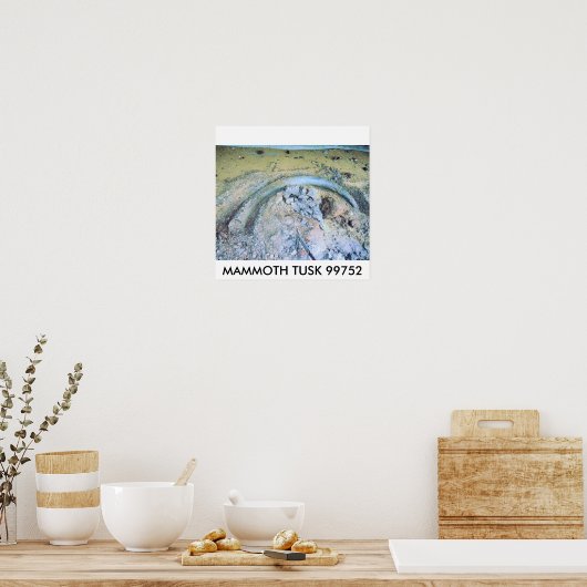 mammoth tusk (2), MAMMOTH TUSK 99752 Poster (Keuken)